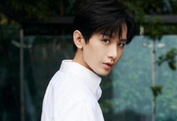 娱乐大爆料 成毅是谁啊,揭秘成毅，他是谁？