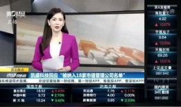 叶飞爆料事件分析视频,揭秘资本运作背后的真相与争议