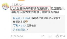 新闻爆料离婚是真的吗,真相即将揭晓