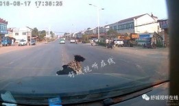 梅州爆料热点事件视频,视频揭秘惊人真相