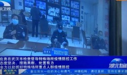 今日三乡新闻爆料视频播放,最新爆料视频播放引发热议