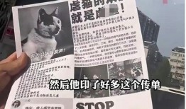 杰克辣条爆料视频大全,揭秘幕后真相与精彩瞬间