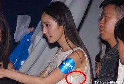 杨幂爆料娱乐圈内容,揭秘明星背后的真实生活