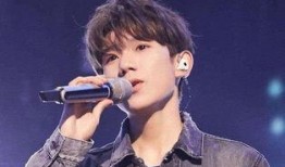 王源优酷爆料事件视频在线观看,揭秘幕后故事与精彩瞬间