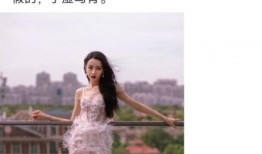 内娱两大狗仔爆料视频