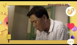 二辰爆料兄弟视频播放全集,揭秘视频全集背后的精彩故事