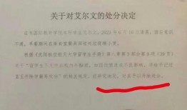 张薇事件爆料最新消息,爆料揭露惊人内幕，真相逐渐浮出水面
