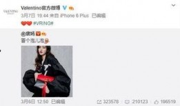 dimoo最新爆料,最新爆料背后的故事与真相