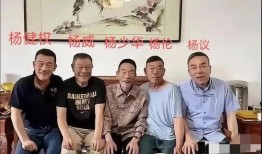 老汪爆料杨少华视频全集,杨少华经典视频全集大曝光