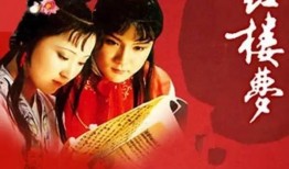 红楼搞笑爆料视频合集,搞笑爆料视频合集趣味盘点