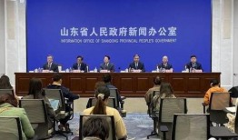 山东热门事件爆料新闻发布会,揭秘真相与进展