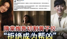台湾电影人爆料视频播放,爆料视频揭示行业真相