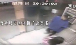 男网红龙被爆料视频大全,真相与争议并存