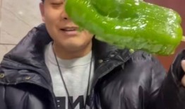 网红前排吃瓜视频