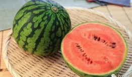 知名网红吃瓜事件真相是真的吗,真相揭秘，是真是假？