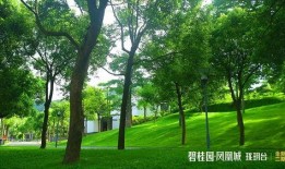 中山碧桂园爆料最新消息