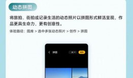 第5波手机在线观看