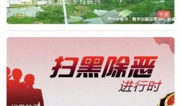 爆料突发新闻视频,突发！爆料新闻视频揭露惊人真相