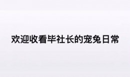 大佬吃瓜小说免费阅读,揭秘娱乐圈背后的秘密