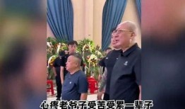 老汪爆料杨少华视频全集,杨少华经典视频全集大曝光