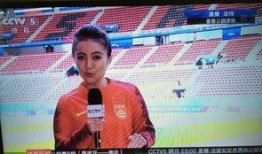央视爆料足球主播视频,揭秘背后惊人真相