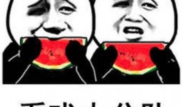 娱乐吃瓜酱算什么行业,揭秘娱乐圈幕后行业风云