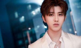 王志傲事件爆料视频,揭秘背后惊人真相