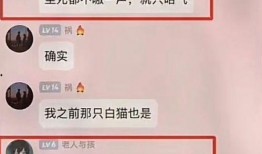 杰克辣条爆料视频大全,揭秘幕后真相与精彩瞬间
