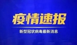 长春拍卖爆料事件最新,揭秘幕后黑幕，真相即将浮出水面