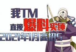 一月最新高招S爆料,一月S爆料深度解析”