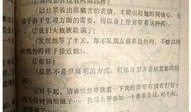 《泡妞秘籍》在线观看,揭秘恋爱高手的心机与技巧