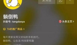 51抖音汤圆圆爆料视频,汤圆圆爆料视频幕后故事