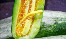 那些吃瓜退网的网红,揭秘网络红人背后的真相与反思