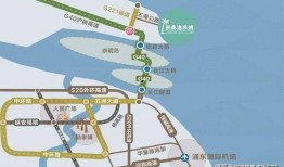 古董商爆料最近活动视频,珍贵古董亮相引热议