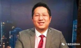 叶飞爆料事件分析视频,揭秘资本运作背后的真相与争议
