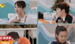 爆料二代燕子是谁啊视频,二代燕子身份之谜，视频爆料引发热议