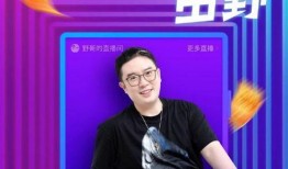 蒙牛公司老总爆料视频播放,揭秘乳业巨头背后的真相