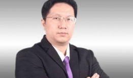 叶飞爆料事件分析视频,揭秘资本运作背后的真相与争议