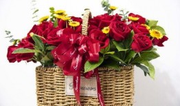 花篮网最新爆料网站下载,网站下载背后的秘密与最新动态