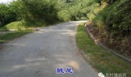 五华爆料新闻,揭秘当地热点事件背后的真相