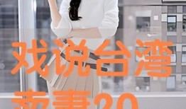 戏说台湾卖妻在线观看,穿越时空的婚姻奇遇