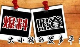 重庆鲁轩最新爆料,揭秘行业背后惊人内幕