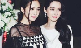 杨幂爆料娱乐圈内容,揭秘明星背后的真实生活