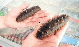 海参哥最新爆料图片高清,高清爆料图片背后的惊人真相