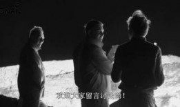 苍狼全集在线观看