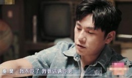 秦昊老婆爆料了吗视频在线观看,揭秘夫妻生活幕后真相