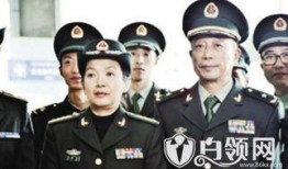 军旅热点爆料视频大全集,揭秘军旅生活精彩瞬间