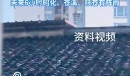 广元今日头条爆料,事件详情引关注