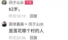 莲花县最新爆料消息,揭秘当地发展新动态与民生热点