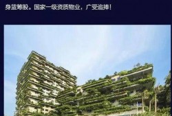 中山碧桂园爆料最新消息